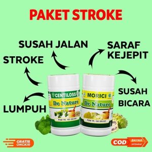 Pengobatan Stroke Ringan