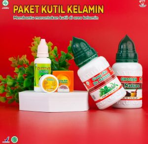 Obat Kutil Kelamin Terbaik