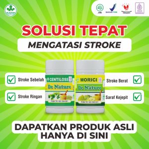 Solusi Atasi Dari Gejala Stroke