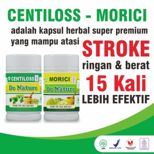 Obat Stroke Hemoragik