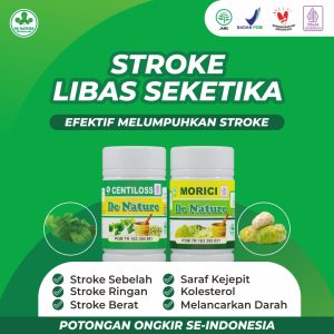 Obat Stroke Infark