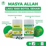 Hipertensi dan Stroke Iskemik: Obat Untuk Mengatasinya