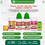 Obat Sipilis (Sifilis) yang Efektif untuk Menyembuhkan